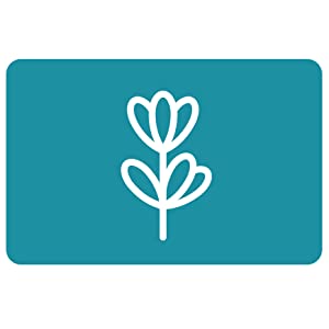 Naturally Clean Scents