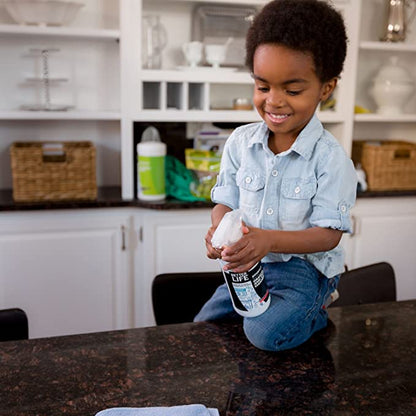 A young boy cleaning a kitchen counter.